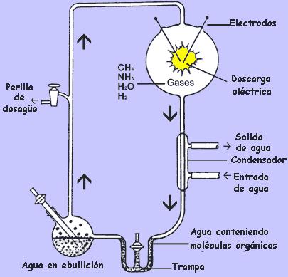 biopoyesis08.jpg