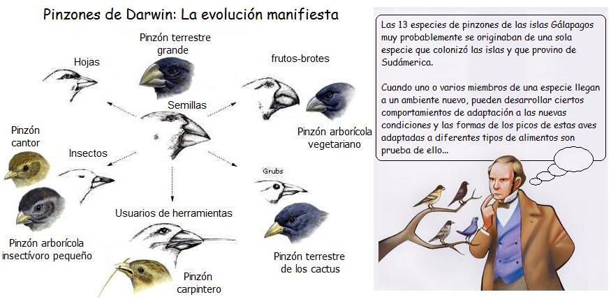 charlesdarwin23.jpg