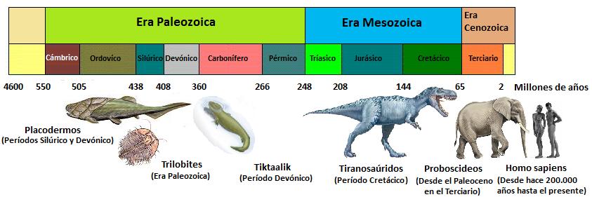 charlesdarwin26.jpg