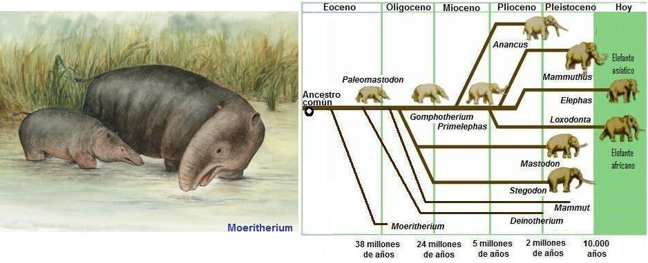 charlesdarwin29.jpg