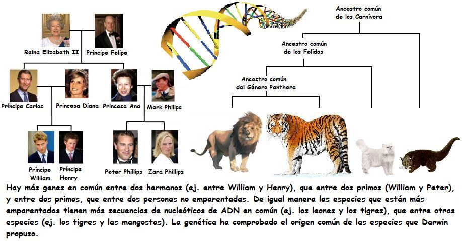 charlesdarwin32.jpg