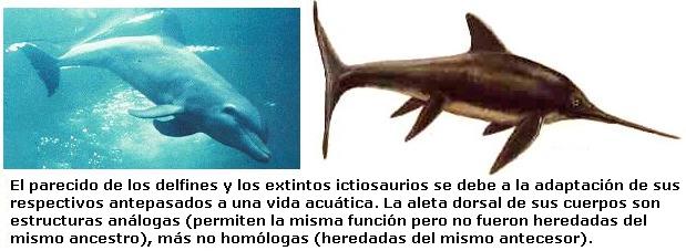 cladogramas_aleta.jpg